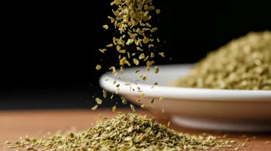 garnishing-instructions-image